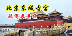 男人用阴茎操女人黄网站中国北京-东城古宫旅游风景区